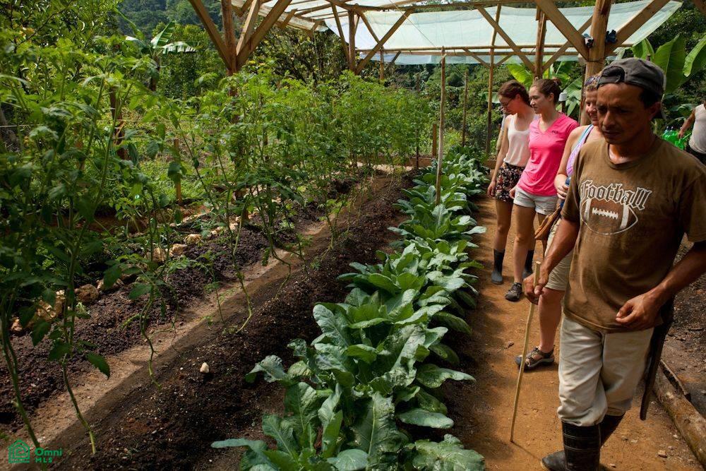 Incredible Turnkey Retreat Center and Sustainable Community , Piedras Blancas, Osa, Puntarenas