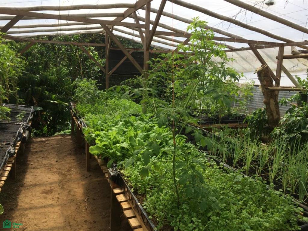 Incredible Turnkey Retreat Center and Sustainable Community , Piedras Blancas, Osa, Puntarenas