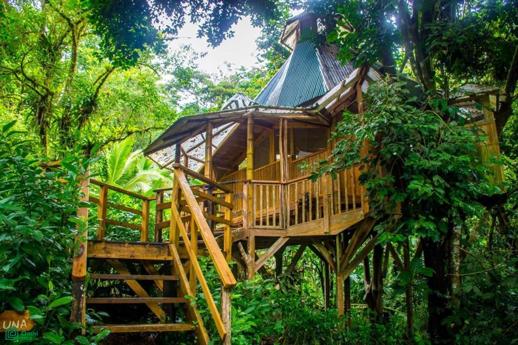 Incredible Turnkey Retreat Center and Sustainable Community , Piedras Blancas, Osa, Puntarenas