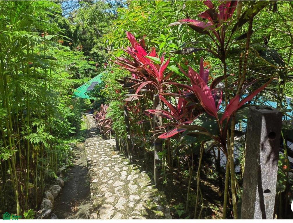 Casa Brisa de Pelada