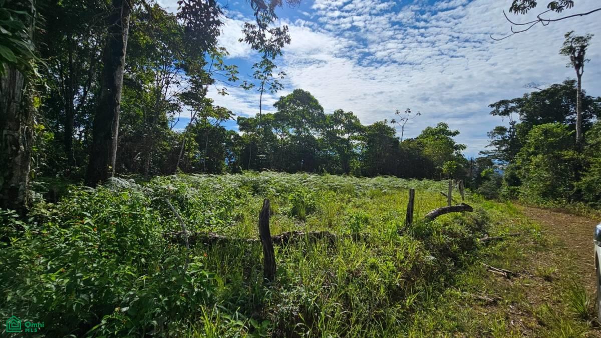Nature Paradise in Costa Rica: Finca in Altos de Ojo , San Isidro del General, Perez Zeledon, San Jose