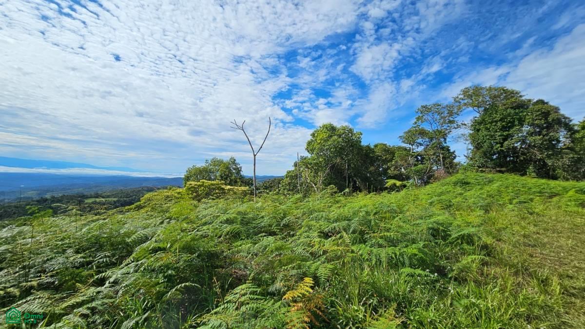 Nature Paradise in Costa Rica: Finca in Altos de Ojo , San Isidro del General, Perez Zeledon, San Jose