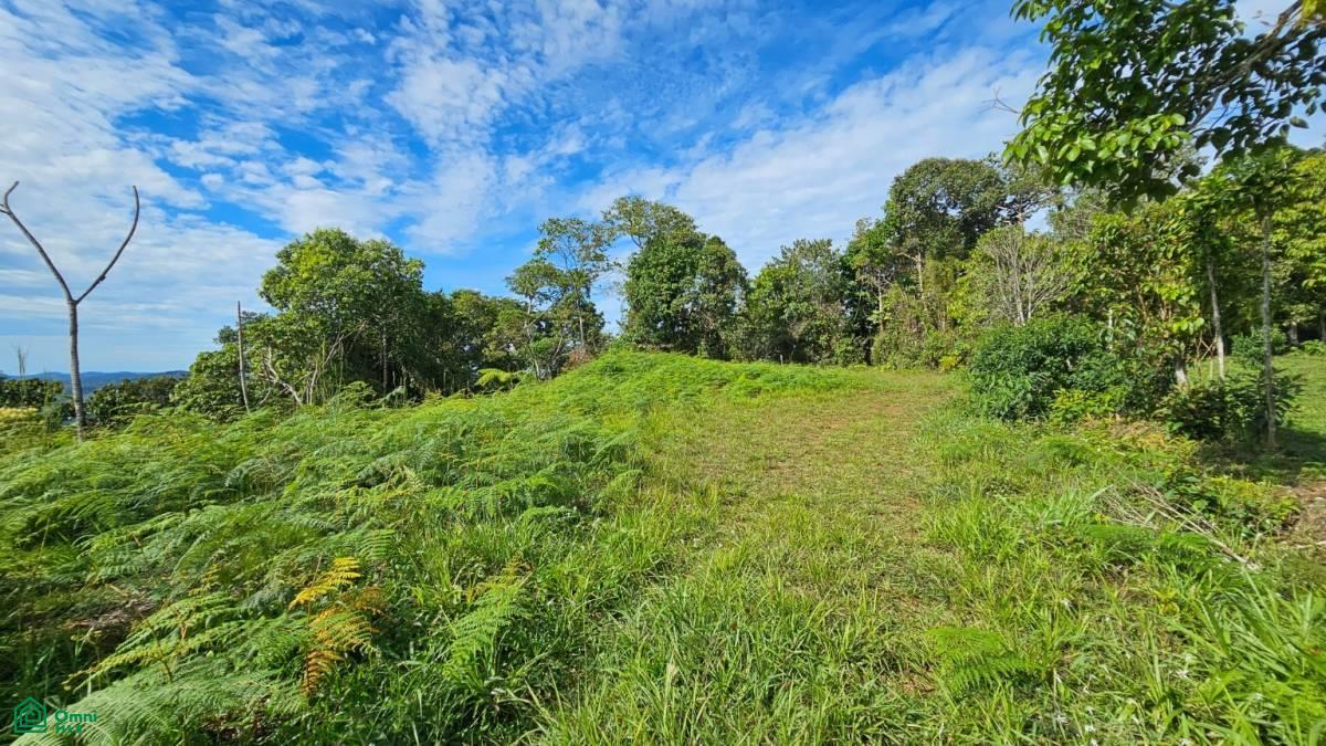 Nature Paradise in Costa Rica: Finca in Altos de Ojo , San Isidro del General, Perez Zeledon, San Jose