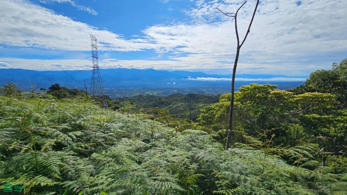 Nature Paradise in Costa Rica: Finca in Altos de Ojo , San Isidro del General, Perez Zeledon, San Jose