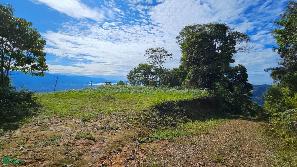 Nature Paradise in Costa Rica: Finca in Altos de Ojo , San Isidro del General, Perez Zeledon, San Jose