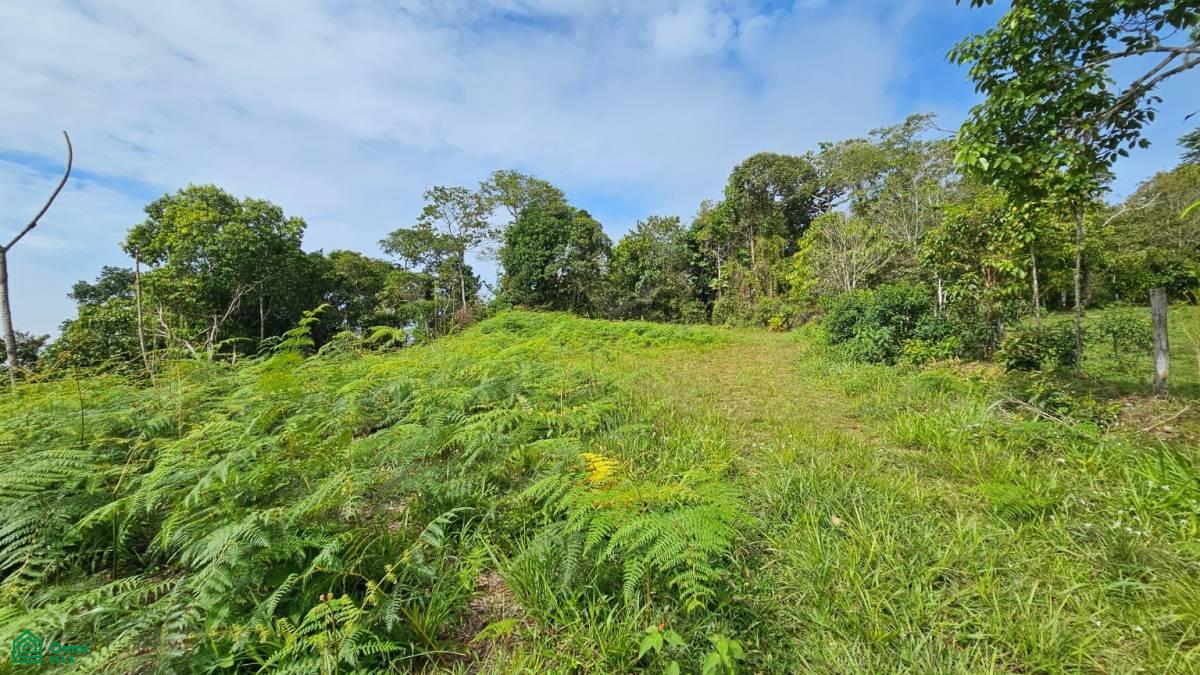 Nature Paradise in Costa Rica: Finca in Altos de Ojo , San Isidro del General, Perez Zeledon, San Jose