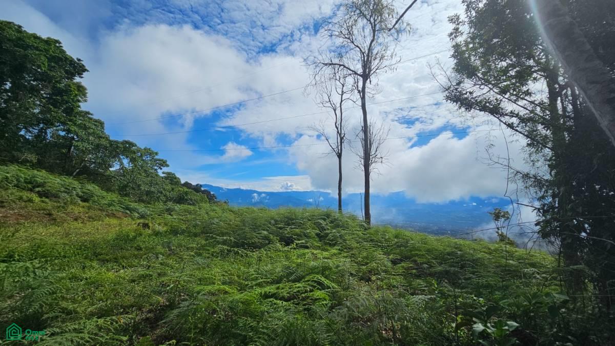 Nature Paradise in Costa Rica: Finca in Altos de Ojo , San Isidro del General, Perez Zeledon, San Jose