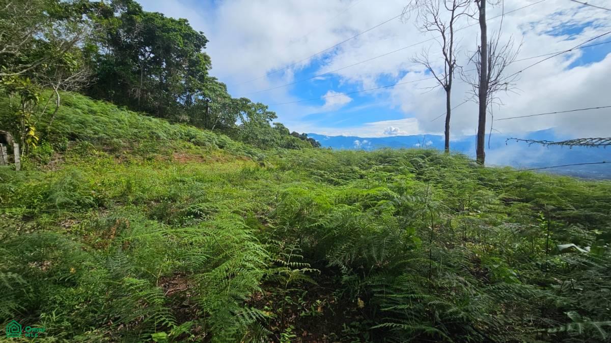 Nature Paradise in Costa Rica: Finca in Altos de Ojo , San Isidro del General, Perez Zeledon, San Jose