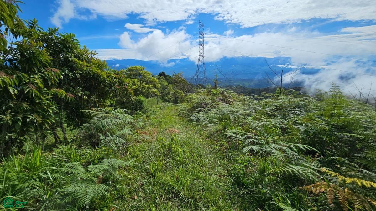 Nature Paradise in Costa Rica: Finca in Altos de Ojo , San Isidro del General, Perez Zeledon, San Jose