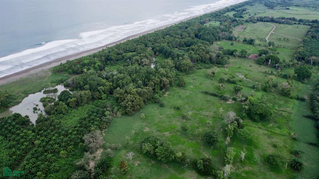 Beachfront Finca with Over 91 Acres in Puntarenas , Quepos, Quepos, Puntarenas