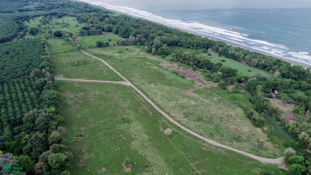 Beachfront Finca with Over 91 Acres in Puntarenas , Quepos, Quepos, Puntarenas