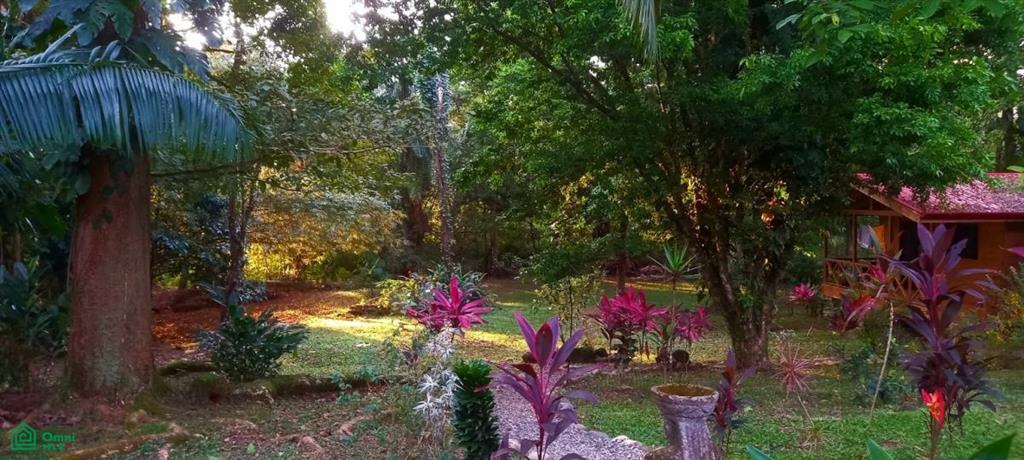 Tropical Jungle Oasis with 8 Cabinas & Pool in Prime Uvita Location , Bahía Ballena, Osa, Puntarenas
