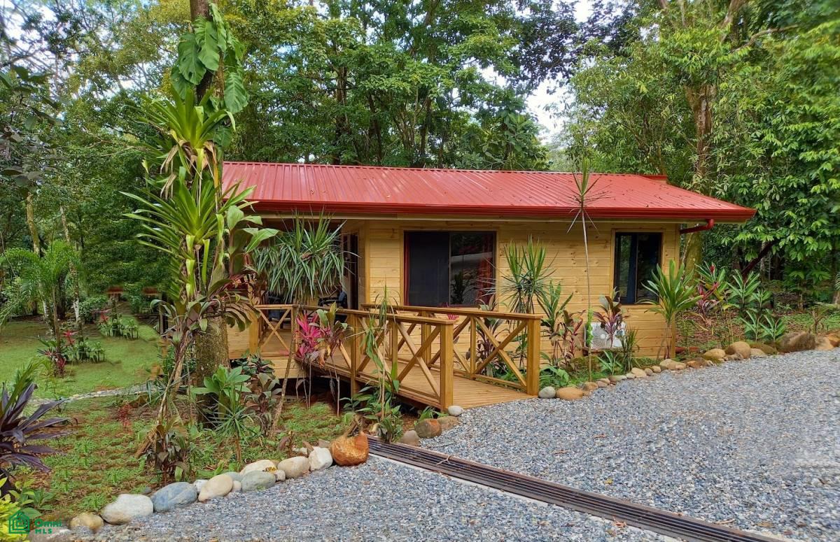 Tropical Jungle Oasis with 8 Cabinas & Pool in Prime Uvita Location , Bahía Ballena, Osa, Puntarenas