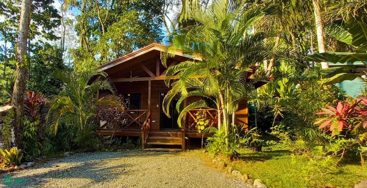 Tropical Jungle Oasis with 8 Cabinas & Pool in Prime Uvita Location , Bahía Ballena, Osa, Puntarenas
