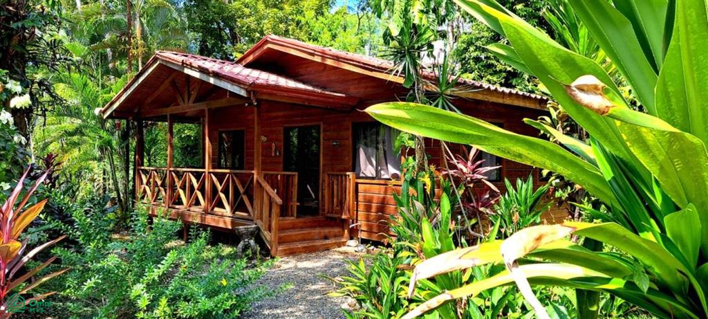 Tropical Jungle Oasis with 8 Cabinas & Pool in Prime Uvita Location , Bahía Ballena, Osa, Puntarenas