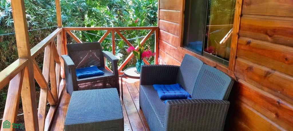 Tropical Jungle Oasis with 8 Cabinas & Pool in Prime Uvita Location , Bahía Ballena, Osa, Puntarenas