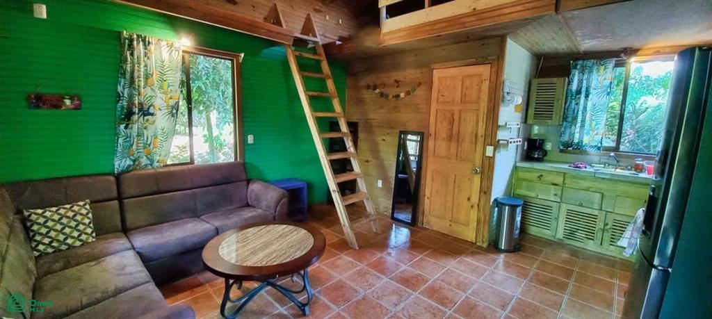 Tropical Jungle Oasis with 8 Cabinas & Pool in Prime Uvita Location , Bahía Ballena, Osa, Puntarenas