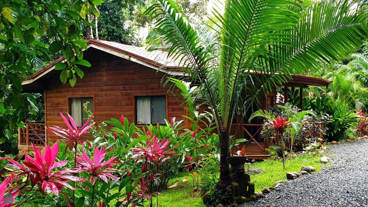 Tropical Jungle Oasis with 8 Cabinas & Pool in Prime Uvita Location , Bahía Ballena, Osa, Puntarenas