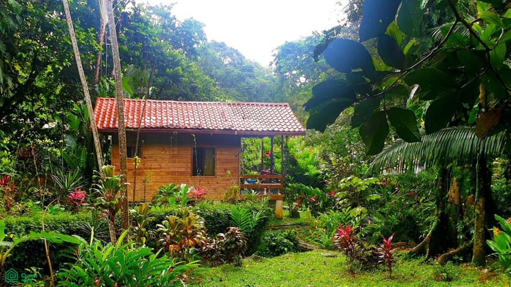 Tropical Jungle Oasis with 8 Cabinas & Pool in Prime Uvita Location , Bahía Ballena, Osa, Puntarenas