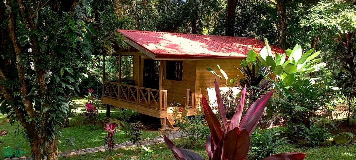 Tropical Jungle Oasis with 8 Cabinas & Pool in Prime Uvita Location , Bahía Ballena, Osa, Puntarenas