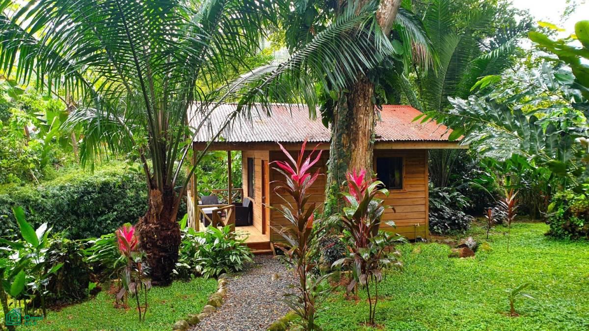 Tropical Jungle Oasis with 8 Cabinas & Pool in Prime Uvita Location , Bahía Ballena, Osa, Puntarenas