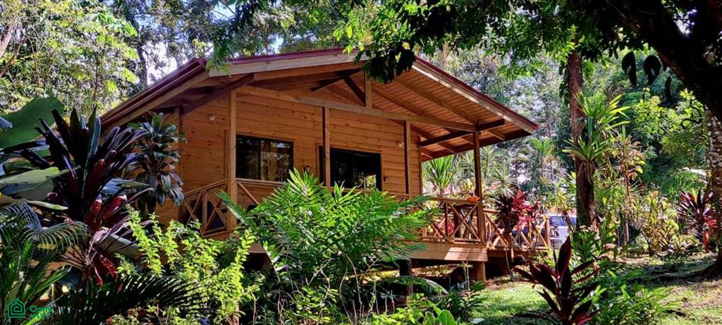 Tropical Jungle Oasis with 8 Cabinas & Pool in Prime Uvita Location , Bahía Ballena, Osa, Puntarenas