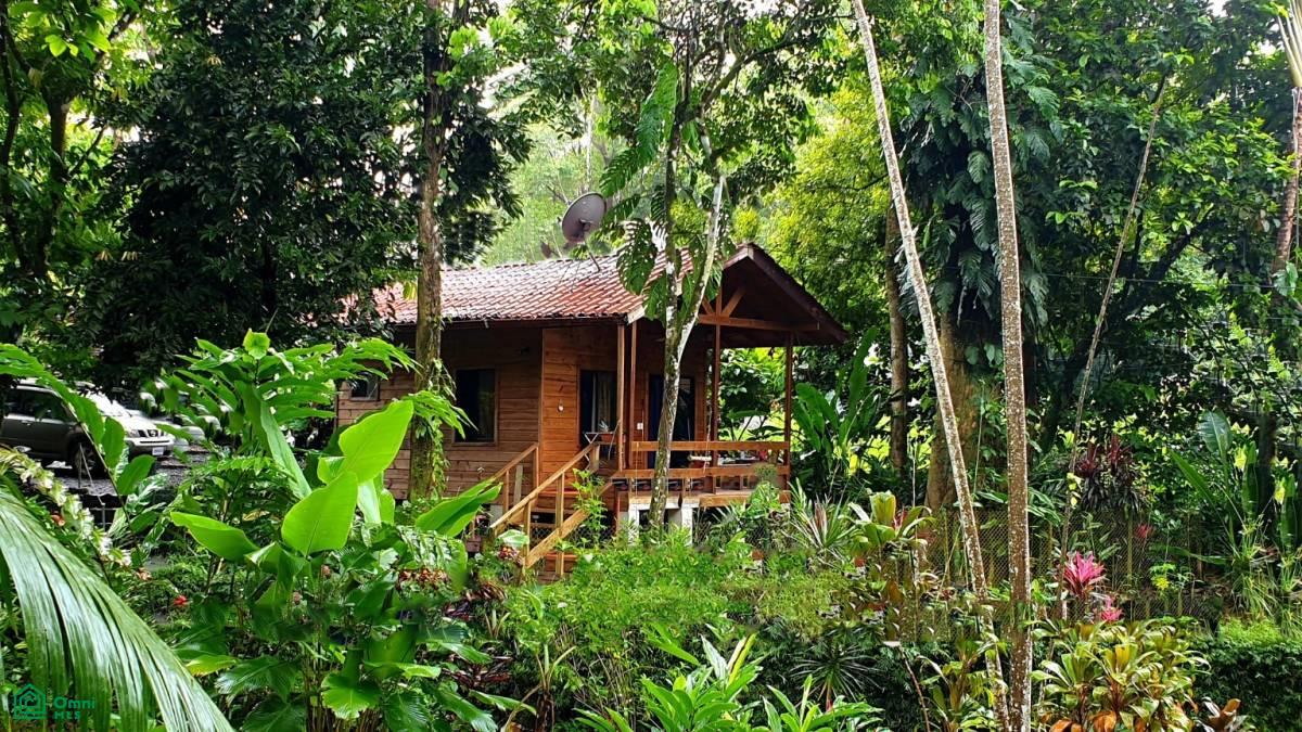 Tropical Jungle Oasis with 8 Cabinas & Pool in Prime Uvita Location , Bahía Ballena, Osa, Puntarenas