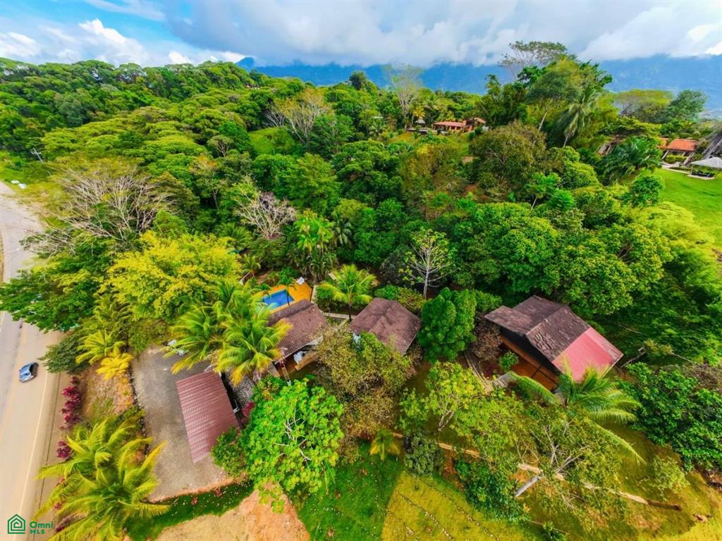 Turnkey 10-Bedroom Airbnb Investment with Pool & Commercial Potential in Ojochal , Puerto Cortés, Osa, Puntarenas