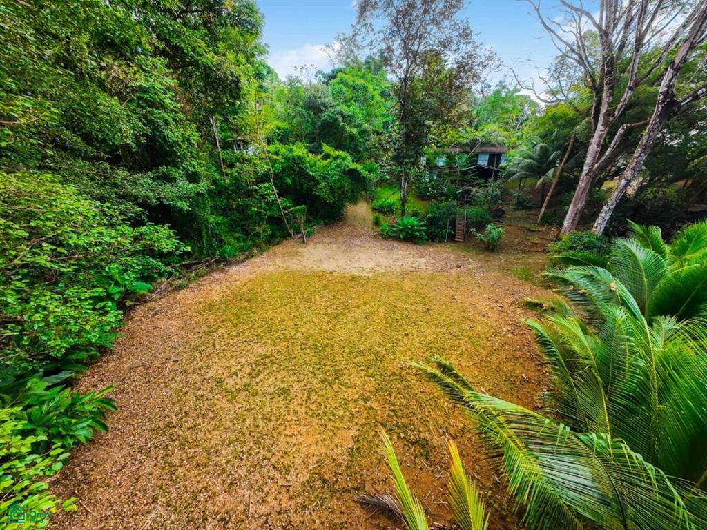 Turnkey 10-Bedroom Airbnb Investment with Pool & Commercial Potential in Ojochal , Puerto Cortés, Osa, Puntarenas