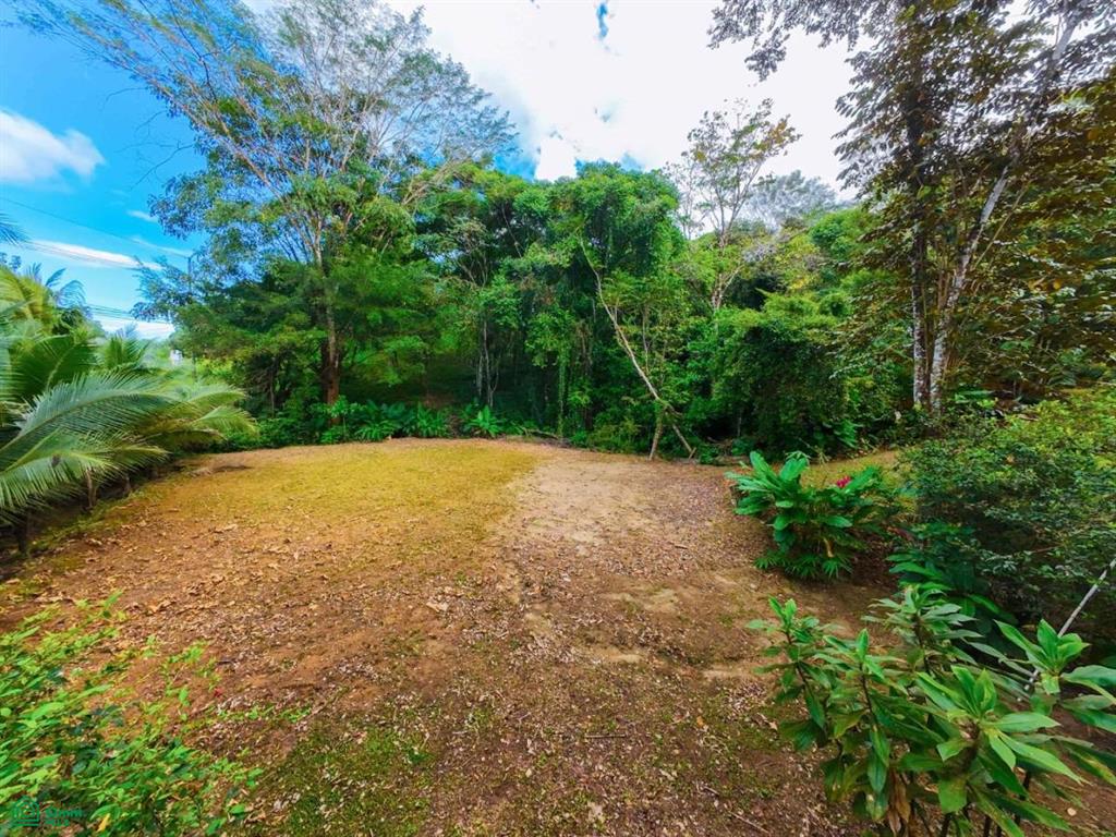 Turnkey 10-Bedroom Airbnb Investment with Pool & Commercial Potential in Ojochal , Puerto Cortés, Osa, Puntarenas