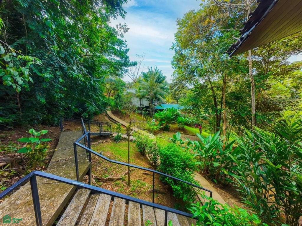 Turnkey 10-Bedroom Airbnb Investment with Pool & Commercial Potential in Ojochal , Puerto Cortés, Osa, Puntarenas