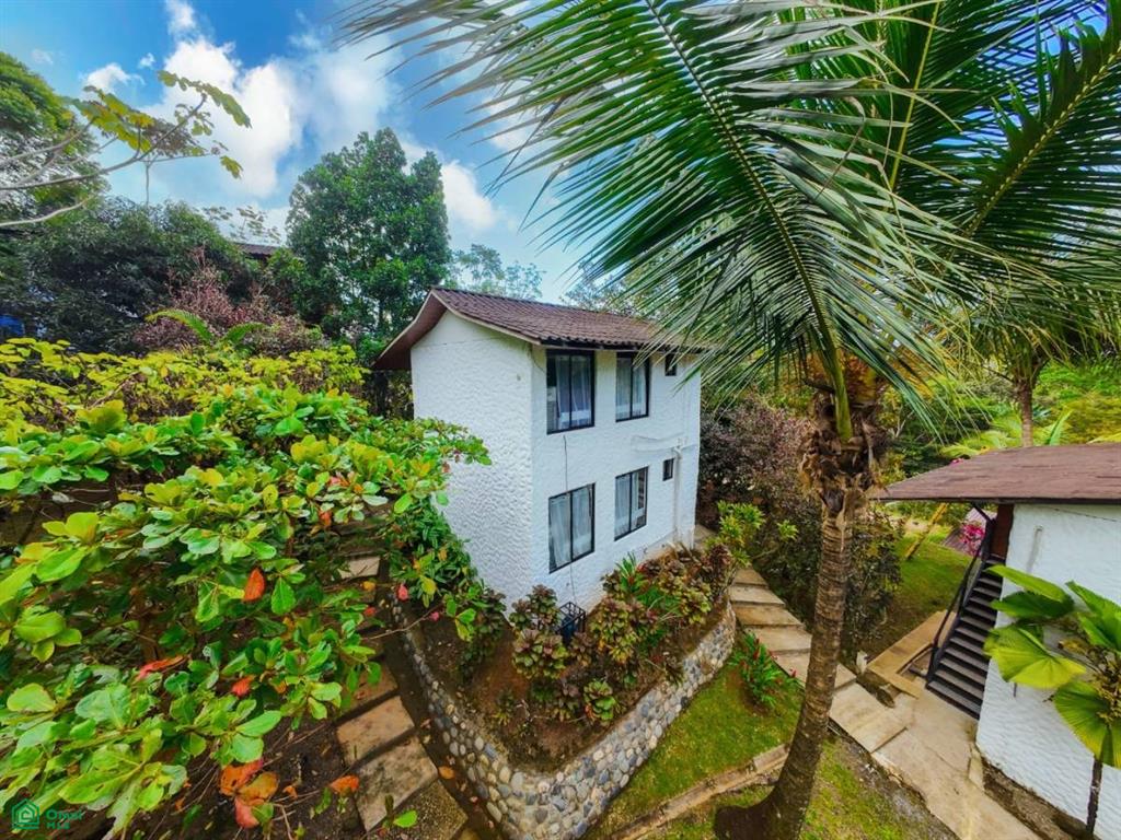 Turnkey 10-Bedroom Airbnb Investment with Pool & Commercial Potential in Ojochal , Puerto Cortés, Osa, Puntarenas