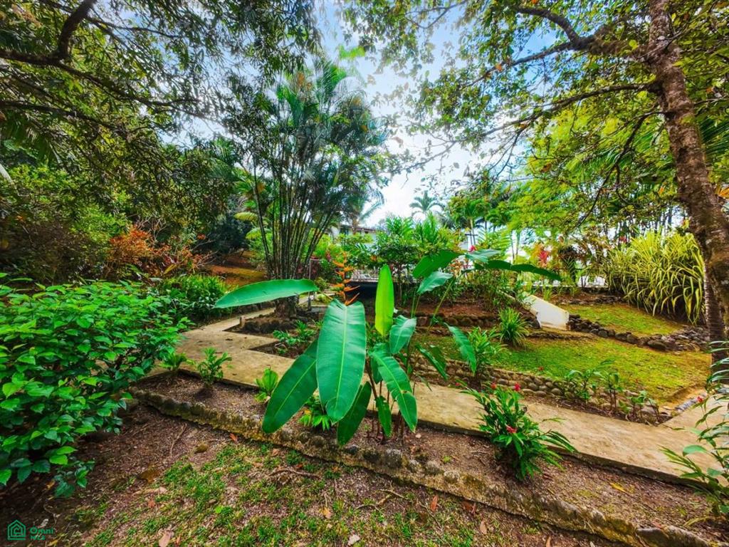 Turnkey 10-Bedroom Airbnb Investment with Pool & Commercial Potential in Ojochal , Puerto Cortés, Osa, Puntarenas