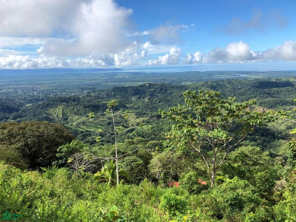 Sortisomnis – Panoramic Oceanview Haven with Income Potential in Ojochal , Puerto Cortés, Osa, Puntarenas