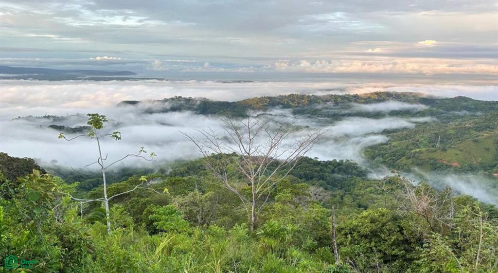 Sortisomnis – Panoramic Oceanview Haven with Income Potential in Ojochal , Puerto Cortés, Osa, Puntarenas