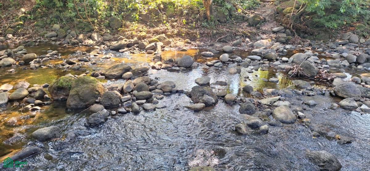 Exceptional Riverfront Lot in Hatillo, Dominical , Dominical, Osa, Puntarenas