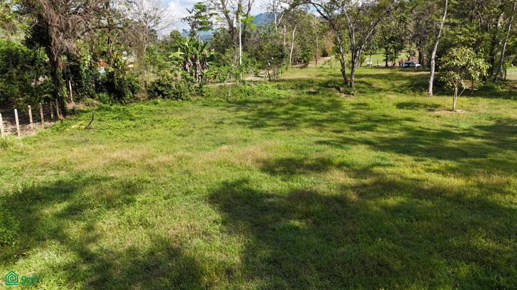 Exceptional Riverfront Lot in Hatillo, Dominical , Dominical, Osa, Puntarenas
