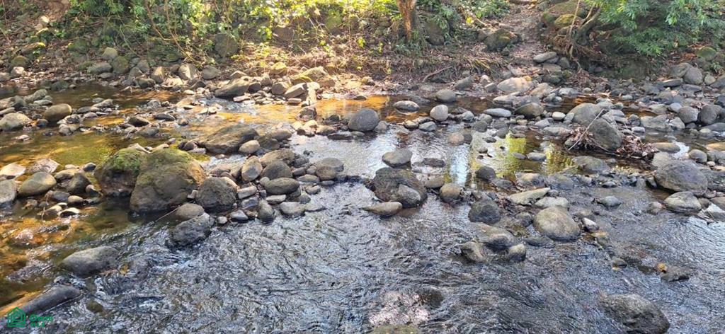 Exceptional Riverfront Lot in Hatillo, Dominical , Dominical, Osa, Puntarenas