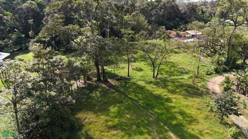 Exceptional Riverfront Lot in Hatillo, Dominical , Dominical, Osa, Puntarenas