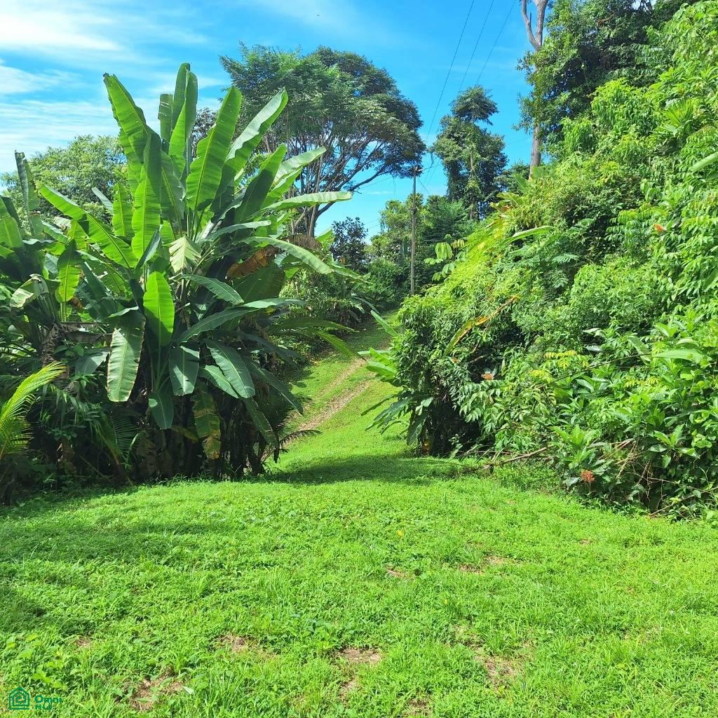 Exceptional Ocean & Mountain View Property in Pinuela Arriba , Bahía Ballena, Osa, Puntarenas