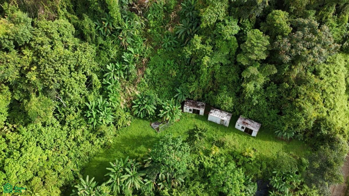 Exceptional Ocean & Mountain View Property in Pinuela Arriba , Bahía Ballena, Osa, Puntarenas