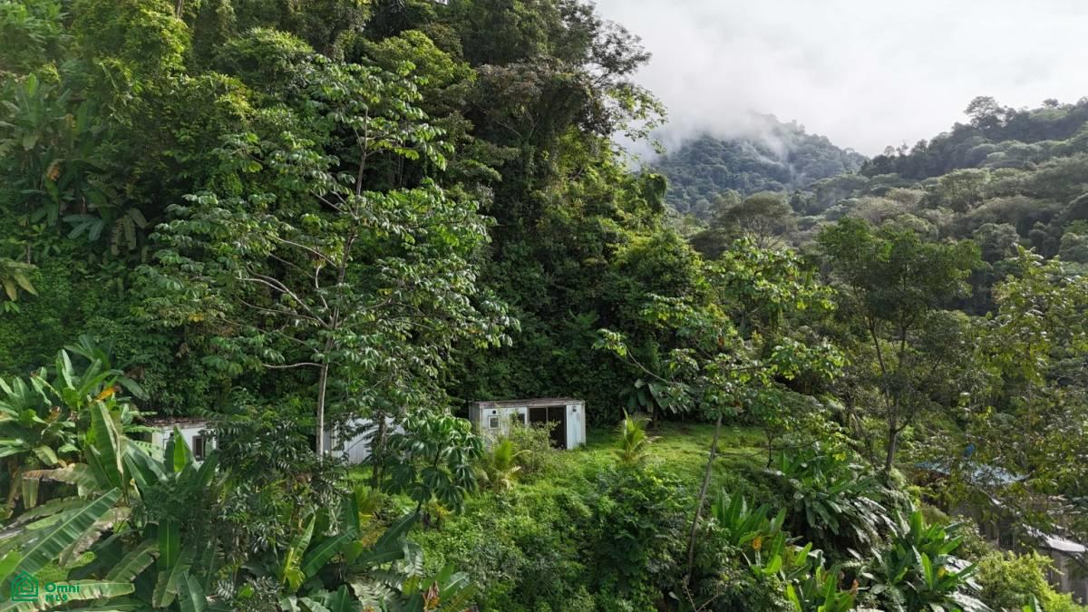 Exceptional Ocean & Mountain View Property in Pinuela Arriba , Bahía Ballena, Osa, Puntarenas