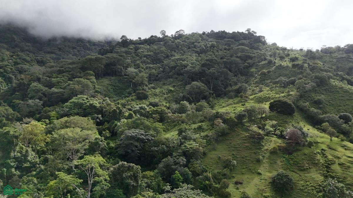 Exceptional Ocean & Mountain View Property in Pinuela Arriba , Bahía Ballena, Osa, Puntarenas