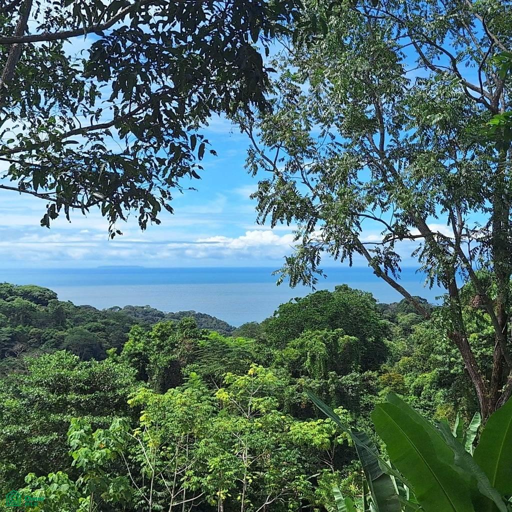 Exceptional Ocean & Mountain View Property in Pinuela Arriba , Bahía Ballena, Osa, Puntarenas