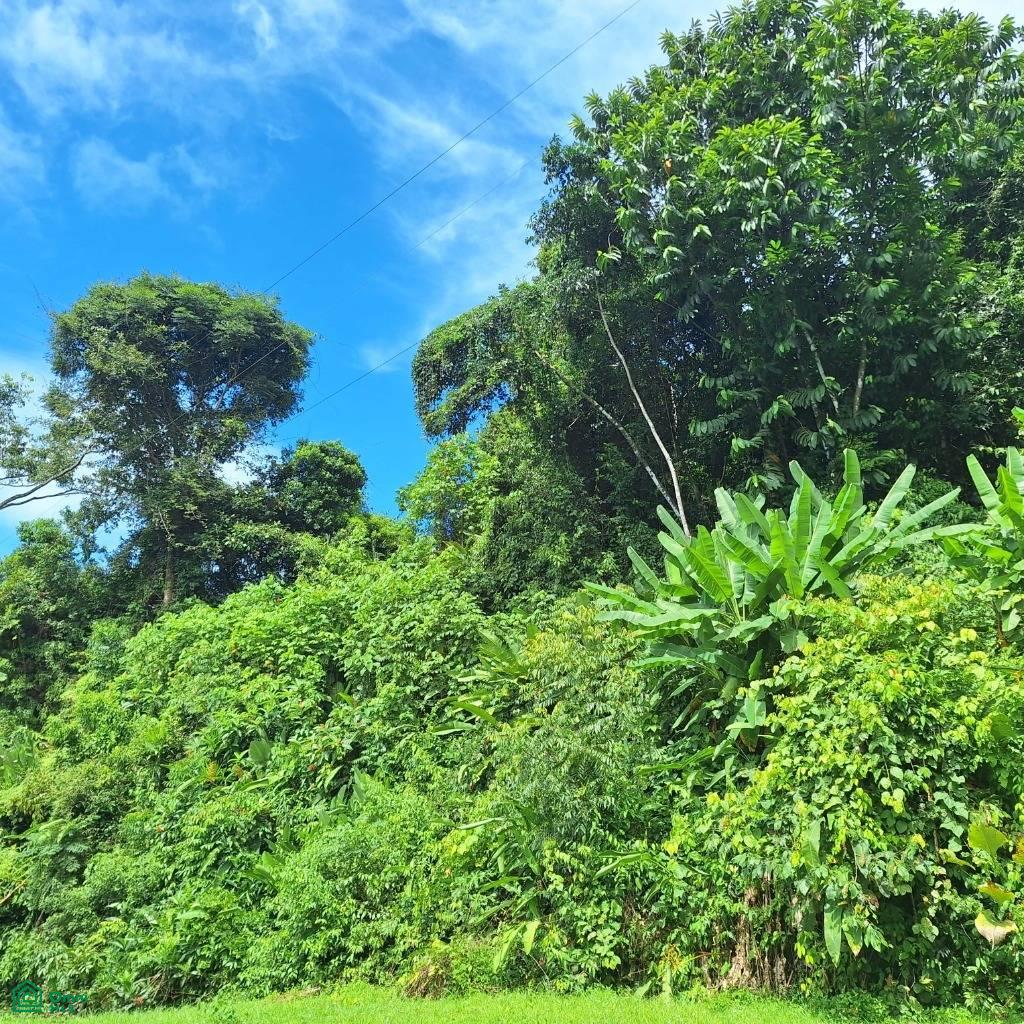 Exceptional Ocean & Mountain View Property in Pinuela Arriba , Bahía Ballena, Osa, Puntarenas
