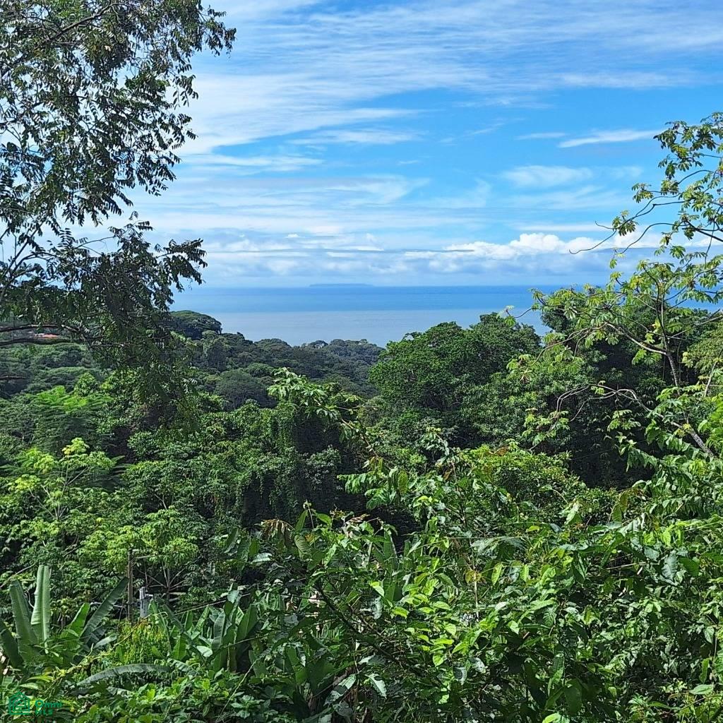 Exceptional Ocean & Mountain View Property in Pinuela Arriba , Bahía Ballena, Osa, Puntarenas