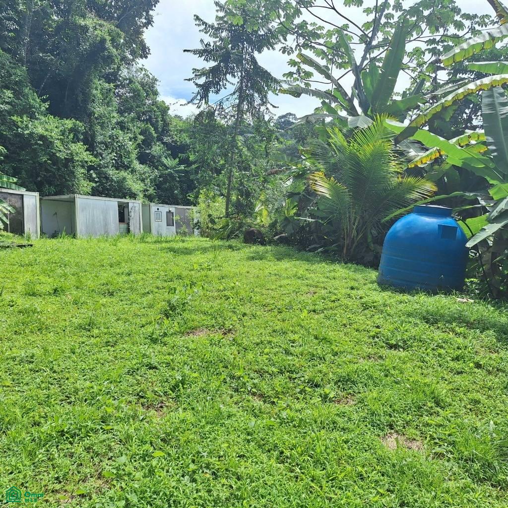 Exceptional Ocean & Mountain View Property in Pinuela Arriba , Bahía Ballena, Osa, Puntarenas