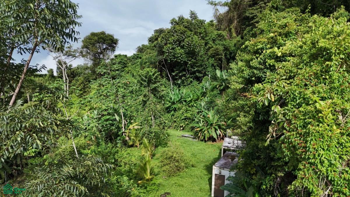 Exceptional Ocean & Mountain View Property in Pinuela Arriba , Bahía Ballena, Osa, Puntarenas