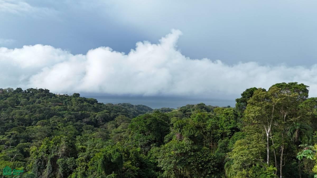 Exceptional Ocean & Mountain View Property in Pinuela Arriba , Bahía Ballena, Osa, Puntarenas
