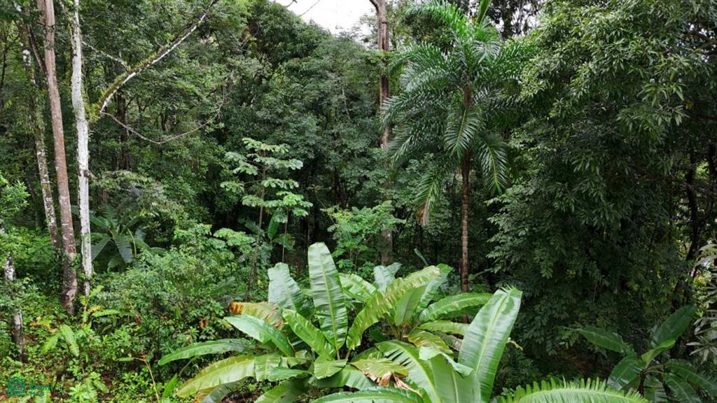 Tropical Oasis with Unmatched Views of the Diamante Waterfall , Tinamaste, Perez Zeledon, San Jose